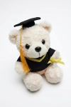 knuffelbeer lichtbeige 24 cm, afstudeer aandenken, kleuterschool cadeau