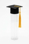 diploma koker 15 cm, snoepkoker afstuderen, doorzichtige feestkoker